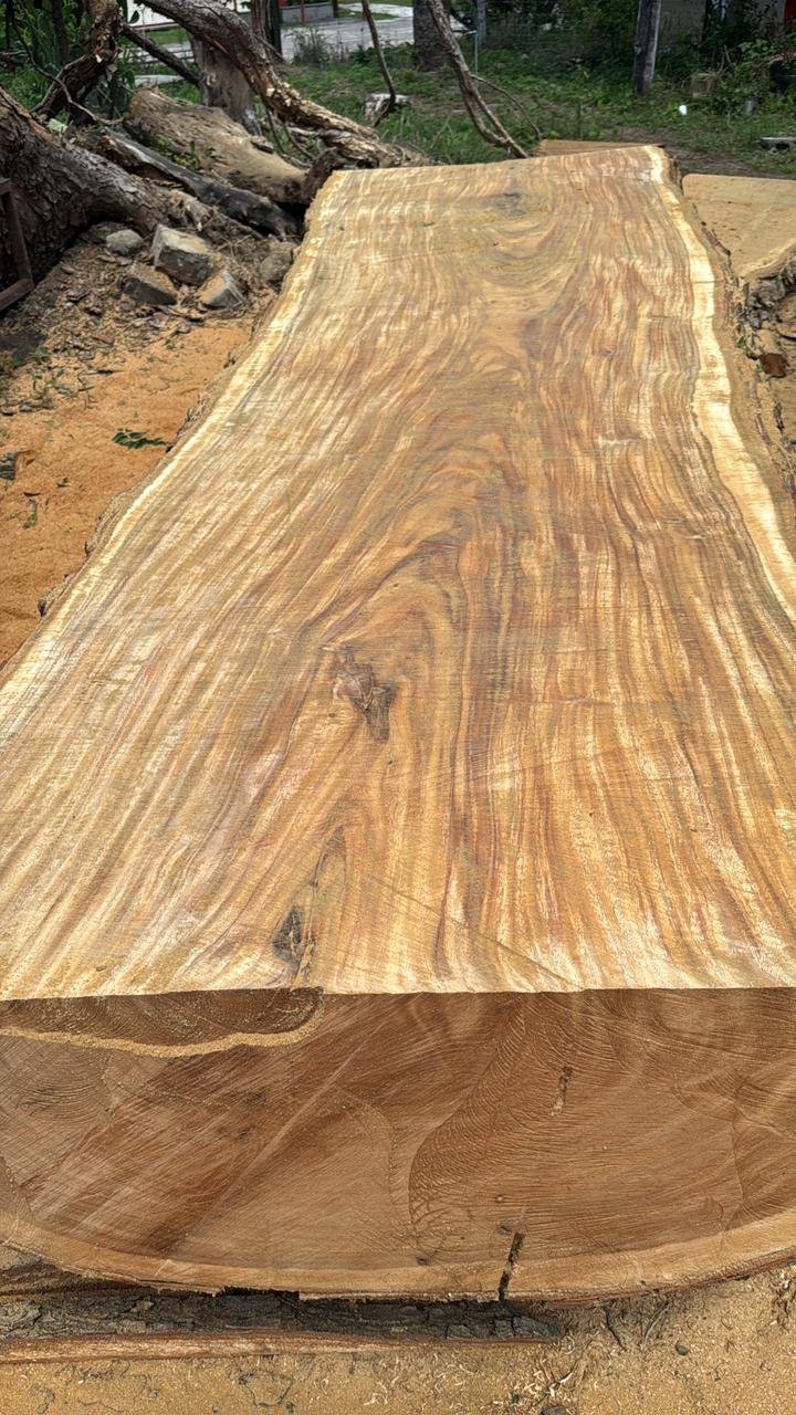 Parota's Gold Logo Footer